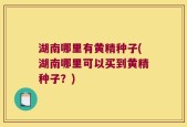 湖南哪里有黄精种子(湖南哪里可以买到黄精种子？)