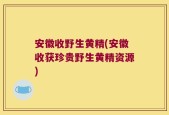 安徽收野生黄精(安徽收获珍贵野生黄精资源)