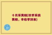 十月采黄精(秋季采摘黄精，丰收季到来)