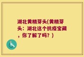 湖北黄精芽头(黄精芽头：湖北这个抗疫宝藏，你了解了吗？)