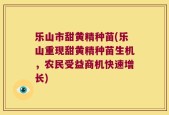 乐山市甜黄精种苗(乐山重现甜黄精种苗生机，农民受益商机快速增长)