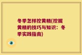 冬季怎样挖黄精(挖掘黄精的技巧与知识：冬季实践指南)