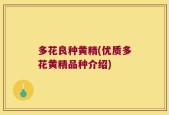 多花良种黄精(优质多花黄精品种介绍)