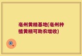 亳州黄精基地(亳州种植黄精可助农增收)