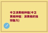 中卫滇黄精种植(中卫黄精种植：滇黄精的独特魅力)