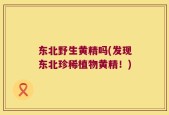 东北野生黄精吗(发现东北珍稀植物黄精！)
