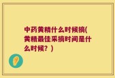 中药黄精什么时候摘(黄精最佳采摘时间是什么时候？)