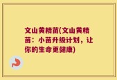 文山黄精苗(文山黄精苗：小苗升级计划，让你的生命更健康)