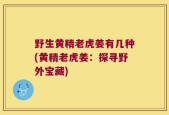 野生黄精老虎姜有几种(黄精老虎姜：探寻野外宝藏)
