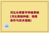 河北从哪里学种植黄精(河北黄精种植：地理条件与技术措施)