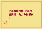 上海黄精种植(上海种植黄精，助力乡村振兴)