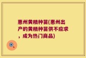 惠州黄精种苗(惠州出产的黄精种苗供不应求，成为热门商品)