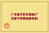 广东普宁野生黄精(广东普宁现黄精重现象)