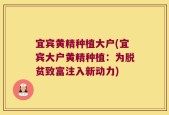 宜宾黄精种植大户(宜宾大户黄精种植：为脱贫致富注入新动力)