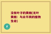 没有叶子的黄精(无叶黄精：与众不同的植物生命)