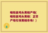略阳县鸡头黄精产地(略阳县鸡头黄精：正宗产地引领黄精市场！)