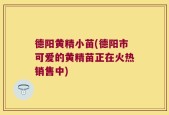 德阳黄精小苗(德阳市可爱的黄精苗正在火热销售中)