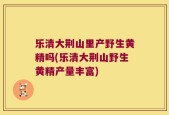 乐清大荆山里产野生黄精吗(乐清大荆山野生黄精产量丰富)