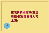玉溪黄精找哪家(玉溪黄精-挖掘高富帅人气之源)