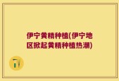 伊宁黄精种植(伊宁地区掀起黄精种植热潮)