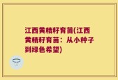 江西黄精籽育苗(江西黄精籽育苗：从小种子到绿色希望)