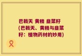 巴戟天 黄精 韭菜籽(巴戟天、黄精与韭菜籽：植物药材的妙用)