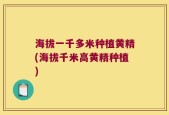 海拔一千多米种植黄精(海拔千米高黄精种植)