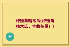 种植黄精木瓜(种植黄精木瓜,丰收在望!)