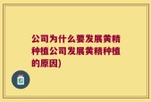 公司为什么要发展黄精种植公司发展黄精种植的原因)