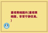重楼黄精图片(重楼黄精图，享受宁静优美。)