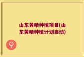 山东黄精种植项目(山东黄精种植计划启动)