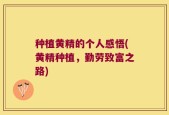 种植黄精的个人感悟(黄精种植，勤劳致富之路)