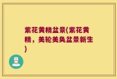 紫花黄精盆景(紫花黄精，美轮美奂盆景新生)