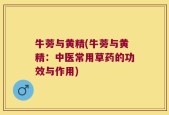 牛蒡与黄精(牛蒡与黄精：中医常用草药的功效与作用)