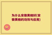 为什么安徽黄精好(安徽黄精的功效与应用)