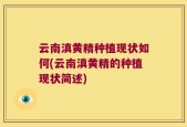 云南滇黄精种植现状如何(云南滇黄精的种植现状简述)