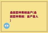 桑园套种黄精亩产(桑园套种黄精：亩产喜人)