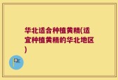 华北适合种植黄精(适宜种植黄精的华北地区)