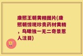 康熙王朝黄精图片(康熙朝惊现珍贵药材黄精，鸟瞰独一无二奇景惹人注目)