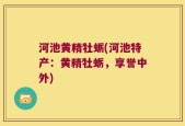 河池黄精牡蛎(河池特产：黄精牡蛎，享誉中外)