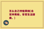 怎么自己种植黄精(自家种黄精，享受生活健康。)