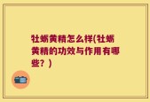 牡蛎黄精怎么样(牡蛎黄精的功效与作用有哪些？)