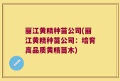 丽江黄精种苗公司(丽江黄精种苗公司：培育高品质黄精苗木)
