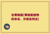 也黄精属(黄精属植物的命名、分类及特点)