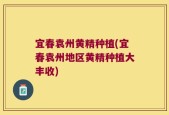 宜春袁州黄精种植(宜春袁州地区黄精种植大丰收)