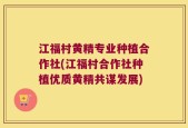 江福村黄精专业种植合作社(江福村合作社种植优质黄精共谋发展)