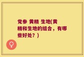 党参 黄精 生地(黄精和生地的组合，有哪些好处？)