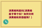 滇黄精所属科(滇黄精属于哪个科？如何分辨滇黄精和其他植物？)