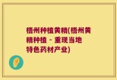 梧州种植黄精(梧州黄精种植 - 重现当地特色药材产业)