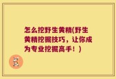 怎么挖野生黄精(野生黄精挖掘技巧，让你成为专业挖掘高手！)